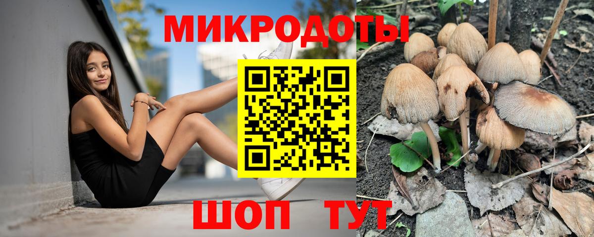 купить  сайты  Вход с VPN  Галлюциногенные грибы Cubensis  Назарово  Псилоцибиновые грибы Cubensis 