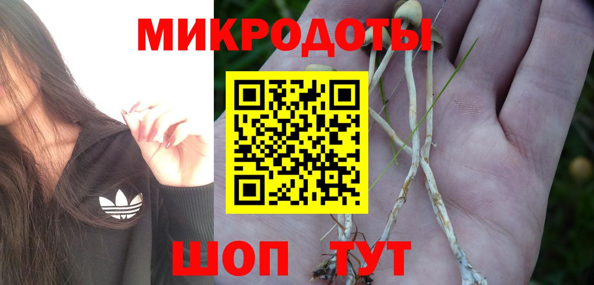 Галлюциногенные грибы прущие грибы Назарово